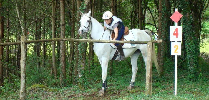  Le TREC en équitation (Techniques de Randonnée Equestre de Compétition)