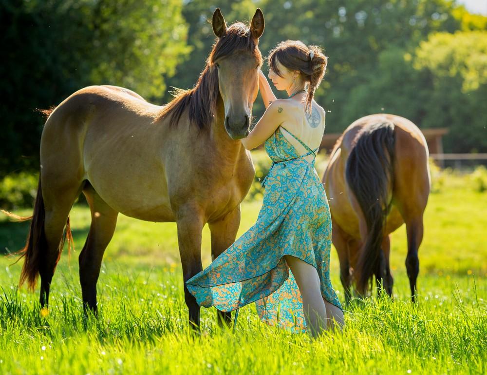 Séjour thérapie, méditation et bien-être pour les chevaux 