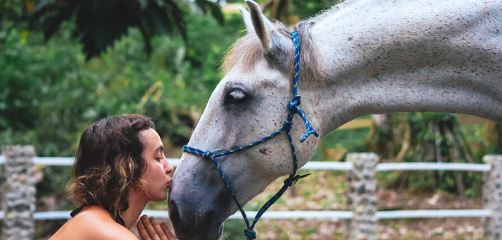 Les bénéfices de la méditation à cheval 