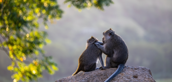Pourquoi choisir une destination zen pour voyager ?