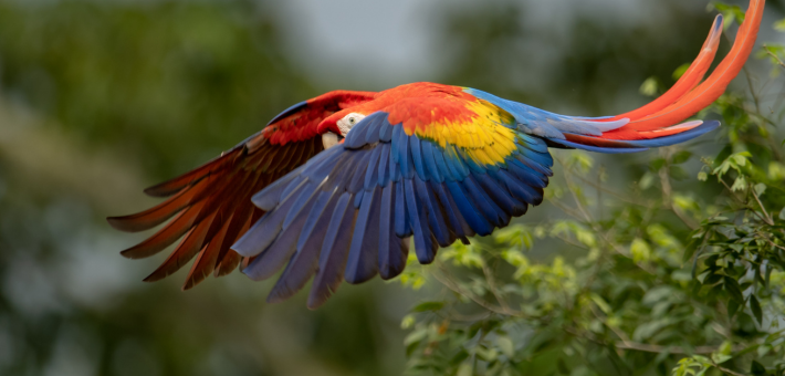 Conseils pour un voyage zen réussi