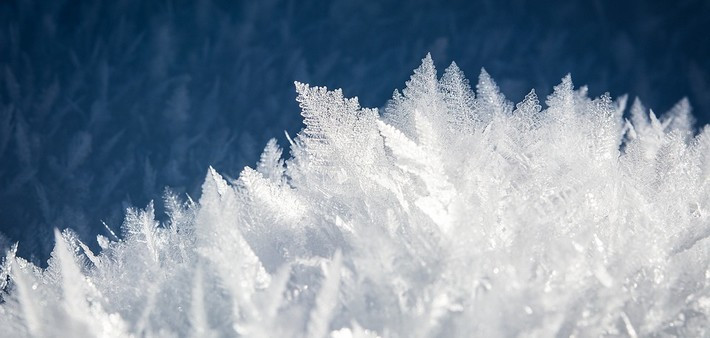 En harmonie avec les saisons : quelles postures privilégier pour l'hiver ?