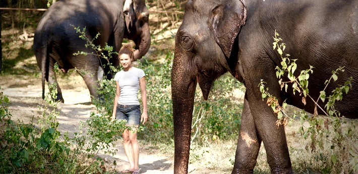 Quand partir en Inde pour un voyage zen ?