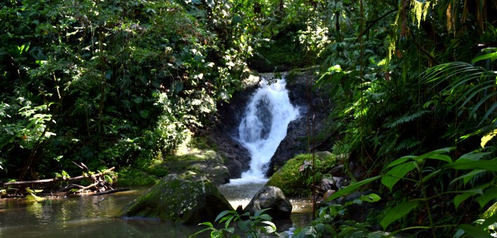 Retrouver une santé holistique en retrouvant la connexion à Mère Nature