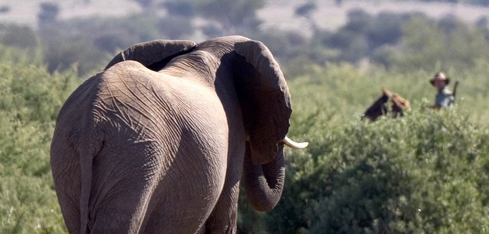 Guide voyage Afrique du Sud