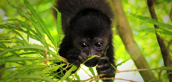Guide voyage Costa Rica