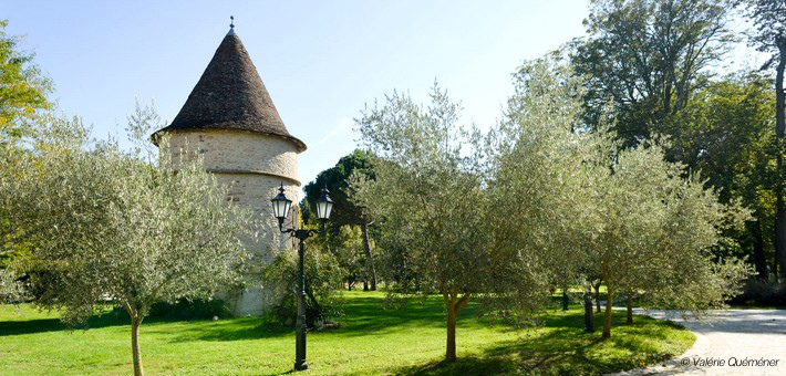 Château de Mirande en Bourgogne