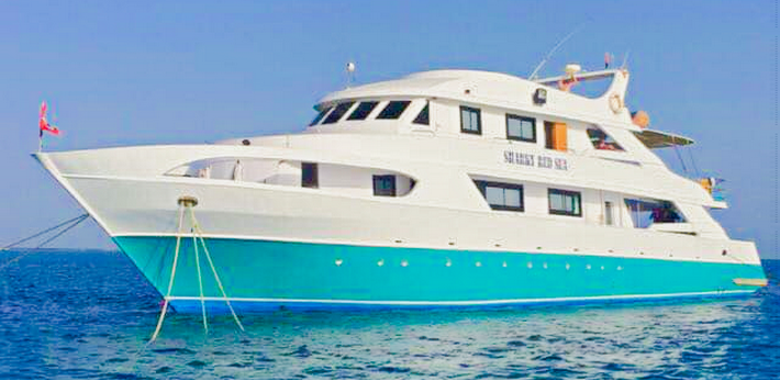 Grand yacht ancré dans le lagon aux dauphins