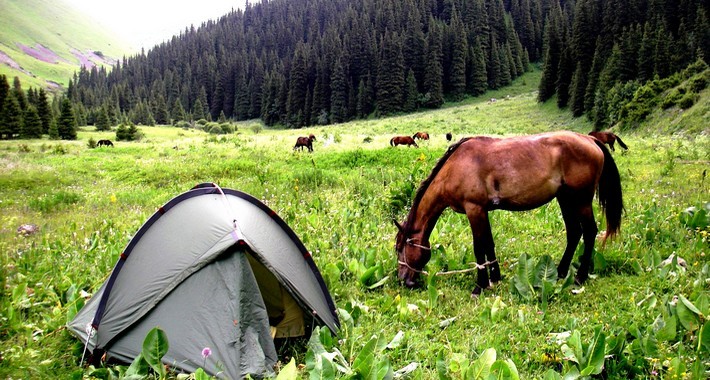 Campement bivouac en Kirghizie