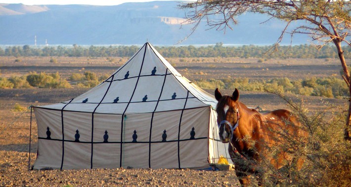 Bivouac marocain