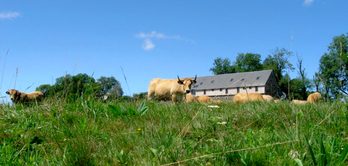 Gîte de montagne en Auvergne