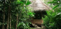 Lodge en Amazonie - Zen&go