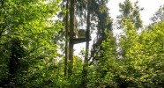 Bulle dans les arbres à Fontainebleau 