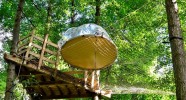 Bulle dans les arbres à Fontainebleau 