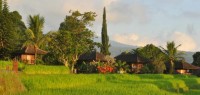 Hôtel à Munduk Bali