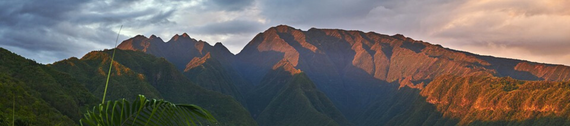 Nos voyages bien-être à la Réunion