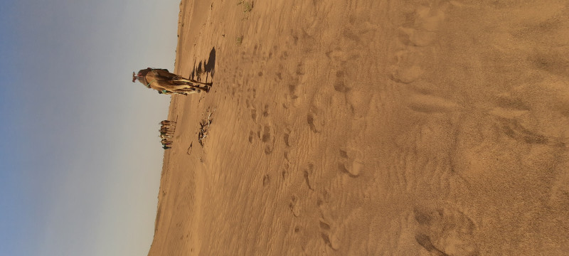 Avis de Sandrine - Voyage en Maroc
