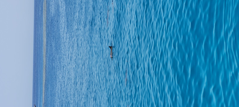 Avis de Brigitte - Voyage en Egypte
