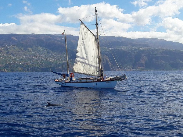 Avis de Anne Vincent  - Voyage en Portugal Açores Madère