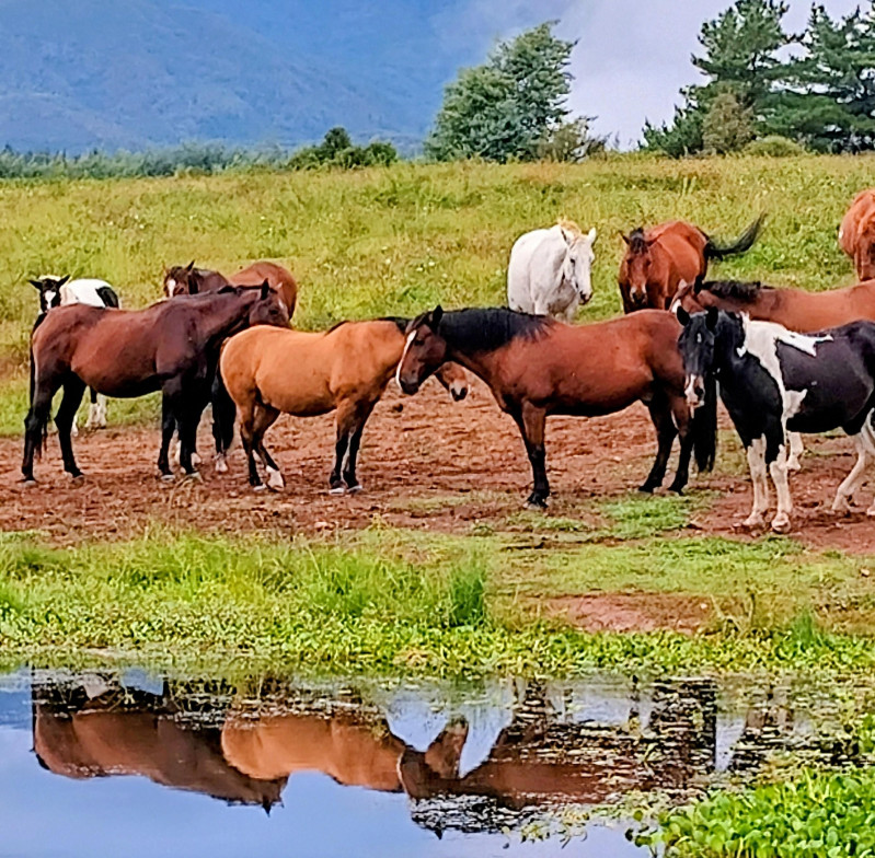 Avis de Laurence & Corinne 