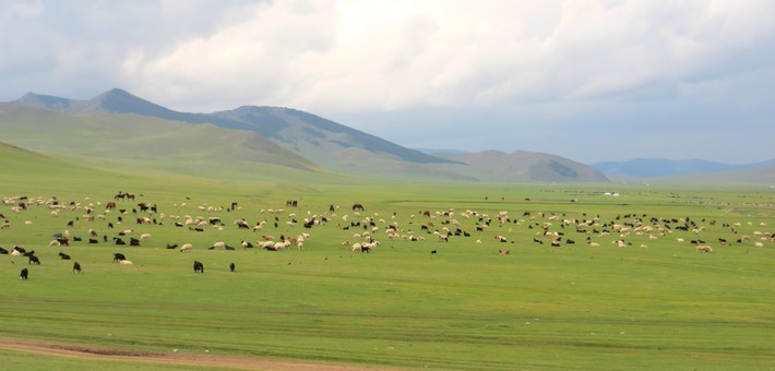 Avis de Rolande - Voyage en Mongolie