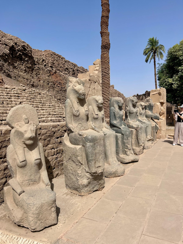 Avis de Petra - Voyage en Egypte