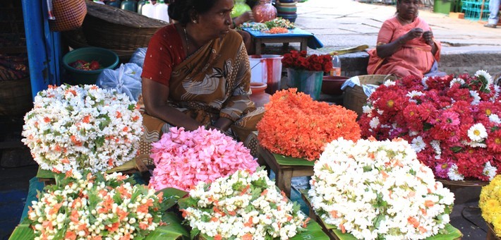 Avis de Franz & Laurence - Voyage en Inde