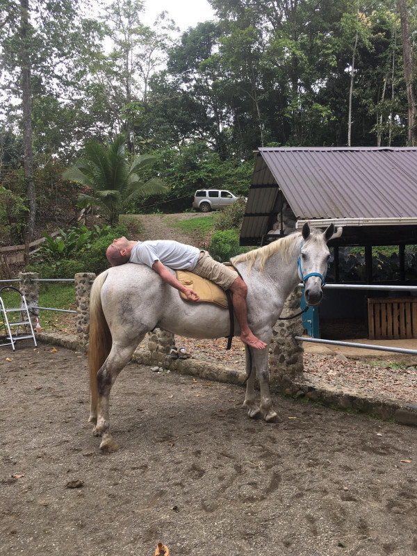 Avis de David - Voyage en Costa Rica