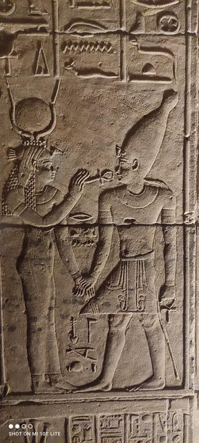 Avis de Caroline - Voyage en Egypte