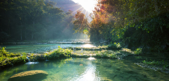 Voyage bien-être et reconnexion au Guatemala : entre yoga, spiritualité maya et nature luxuriante - Zen&go