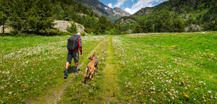 Séjour randonnée bien-être, yoga et cani-rando en Auvergne - Zen&go