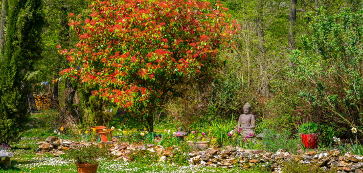 Séjour jeûne, détox et yoga en Normandie - Cure de santé intégrative - Zen&go