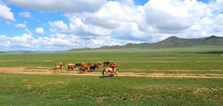 Jour 3. Oulan Bator - Montagnes de Khugnu Khan - 270 kms