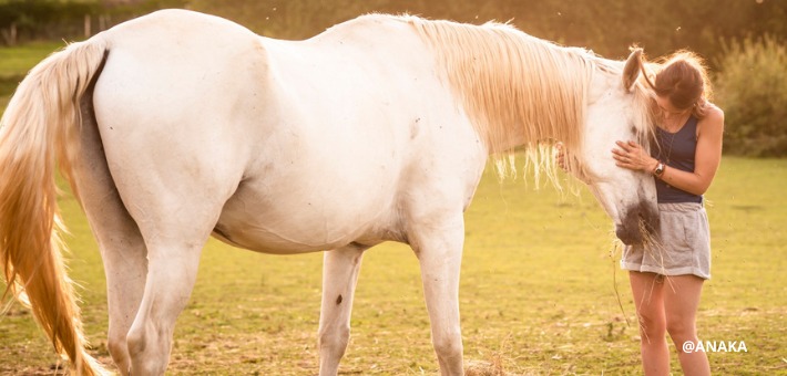 Séjour thérapie, méditation et bien-être pour les chevaux - Zen&go