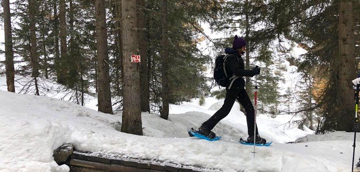 Jour 1. Arrivée dans les Alpes - Balade en raquettes & Yoga