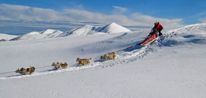Jour 3. Yoga et balade en chiens de traîneaux (ou en canikart)
