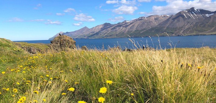 Jour 5 (Jeudi). Yoga au cœur du fjord
