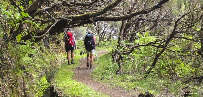 Jour 3. Randonnée le long de la levada et yoga