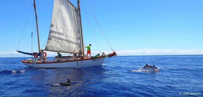 Jour 5. Funchal et sortie en bateau