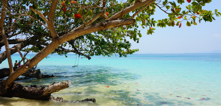 Séjour yoga, snorkeling & farniente sur les îles de Thaïlande, Koh Lanta - Zen&go