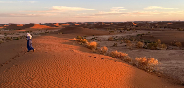 Jour 2. Route pour rejoindre Mhamid (entrée du désert du Sahara)