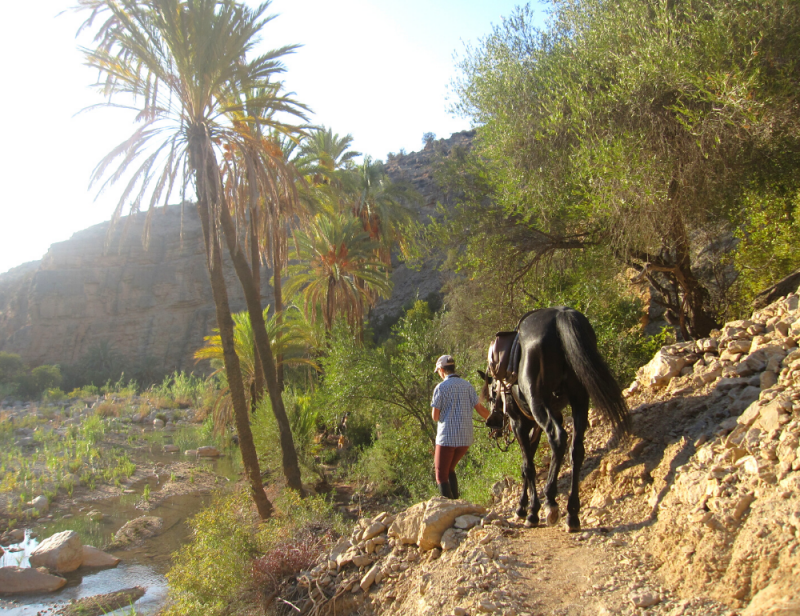Randonnée bien-être et yoga dans la vallée du Paradis au Maroc - Zen&go