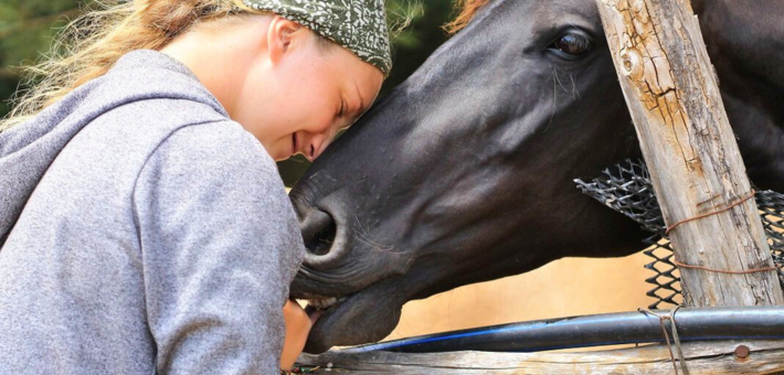 Séjour bien-être et découverte du Chili : Nature, Connexion et Chevaux - Zen&go