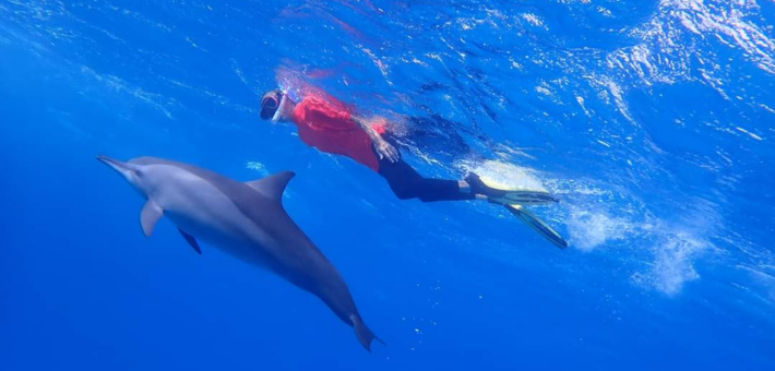 Reconnexion à notre humanité sacrée, à la découverte des trésors et des dauphins d