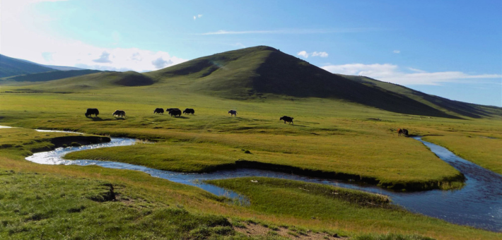 Voyage chamanique féminin : Cérémonies, steppes et sororité en Mongolie - Zen&go