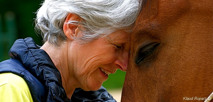 Week-end relation et communication avec le cheval - Fontainebleau
