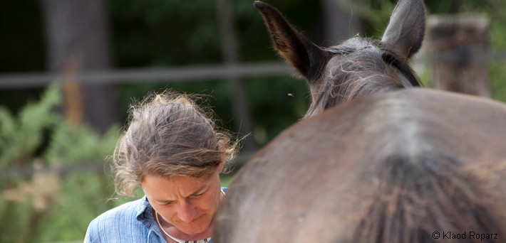 Week-end relation et communication avec le cheval - Fontainebleau - Zen&go