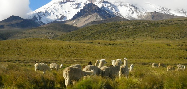 Circuit bien-être en Equateur, des volcans à l