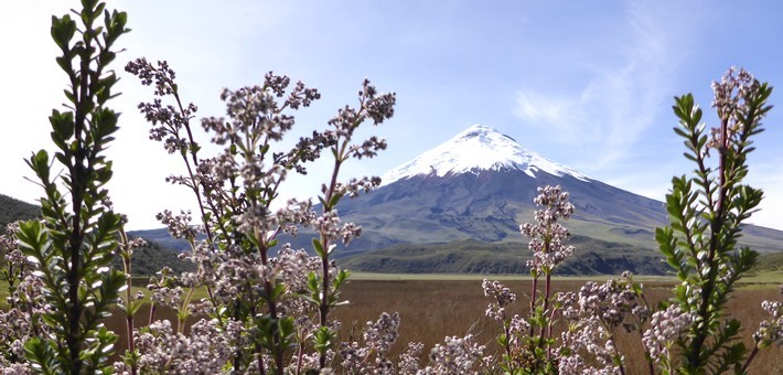 Circuit bien-être en Equateur, des volcans à l