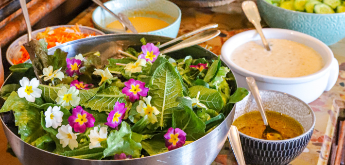 Week-end et retraite ayurvédique au château - Zen&go